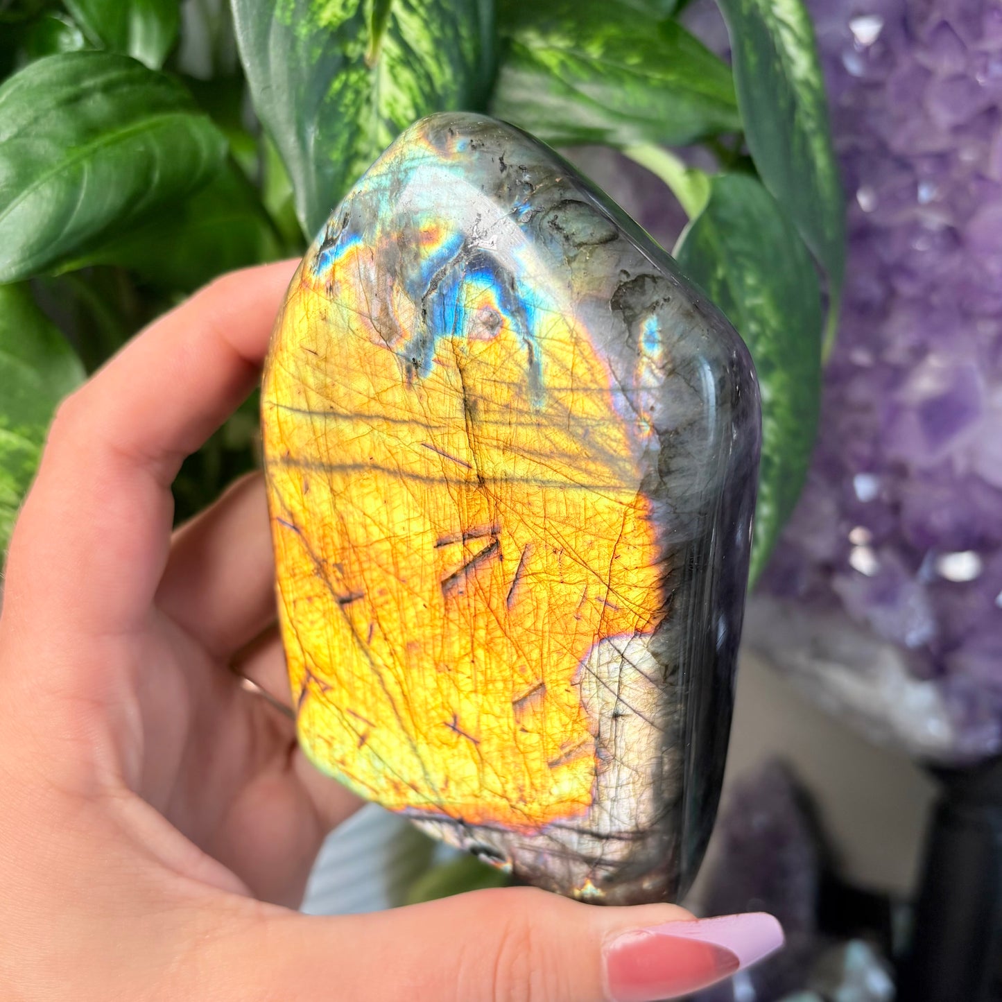 LABRADORITE FREEFORMS