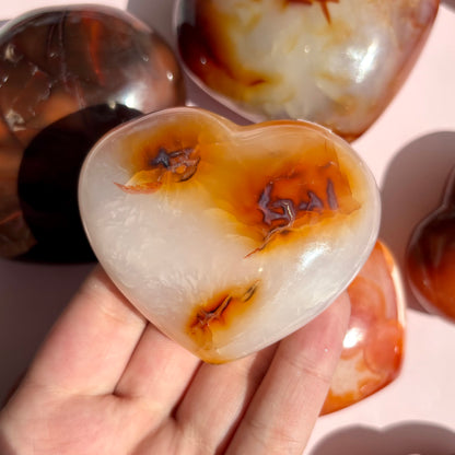 CARNELIAN HEARTS