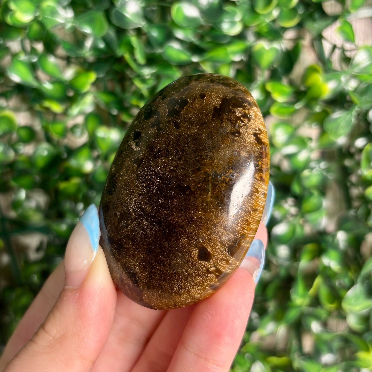 TIGERS EYE PALMSTONES