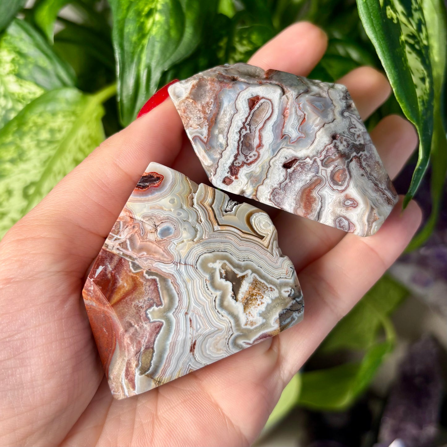MOROCCAN AGATE FREEFORMS