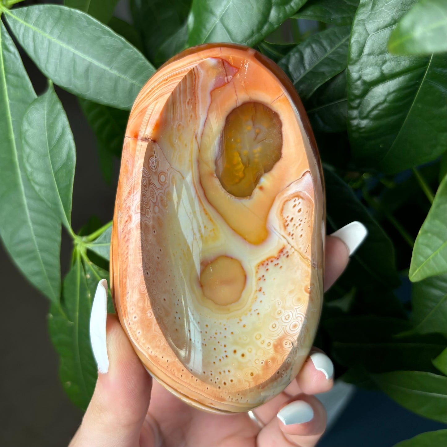 CARNELIAN BOWLS