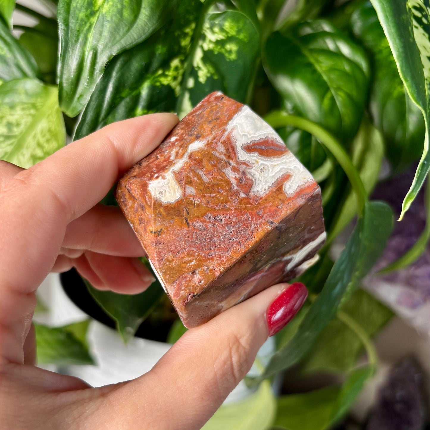 MOROCCAN AGATE FREEFORMS