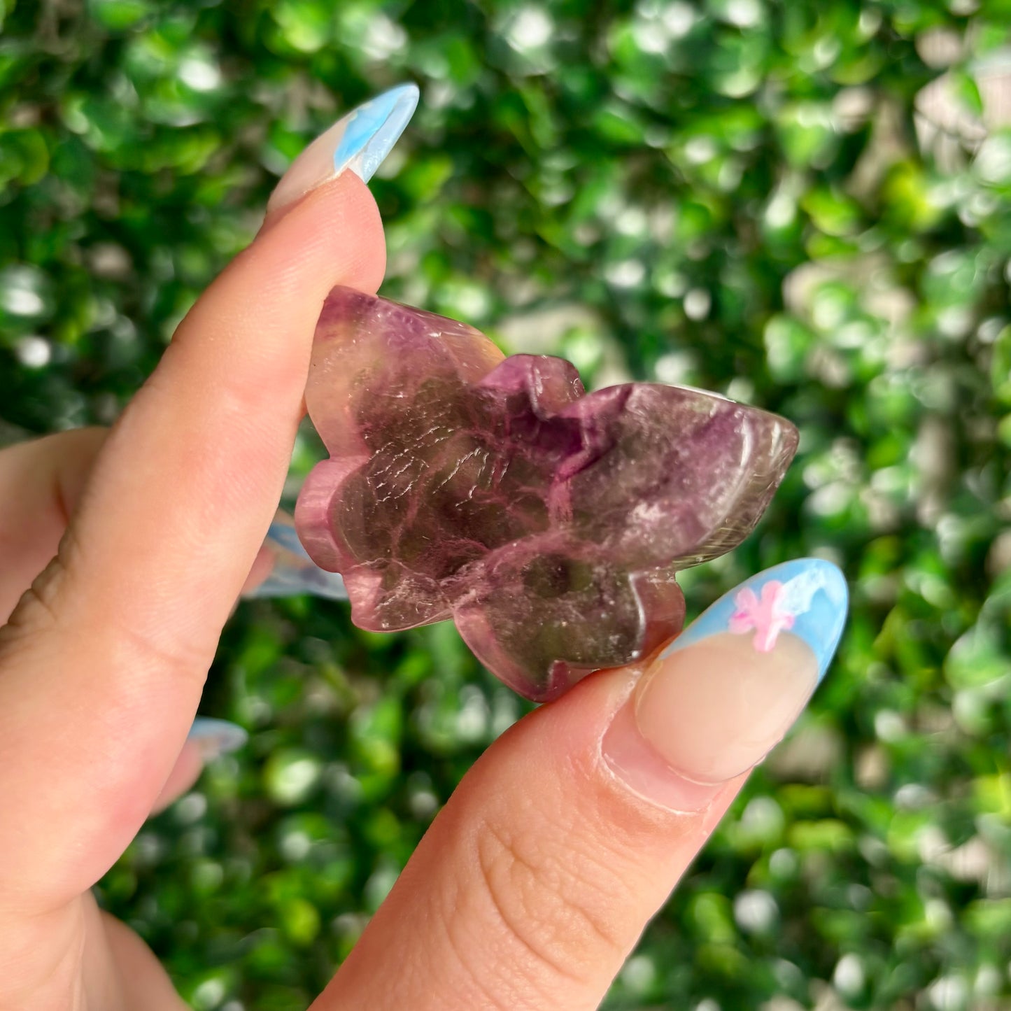 FLUORITE BUTTERFLY
