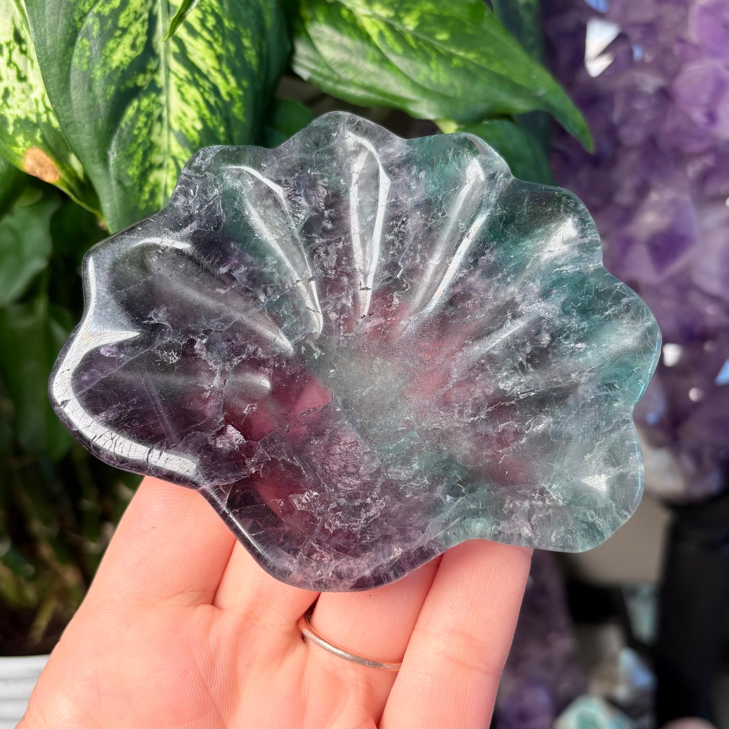 FLUORITE SEASHELL BOWLS
