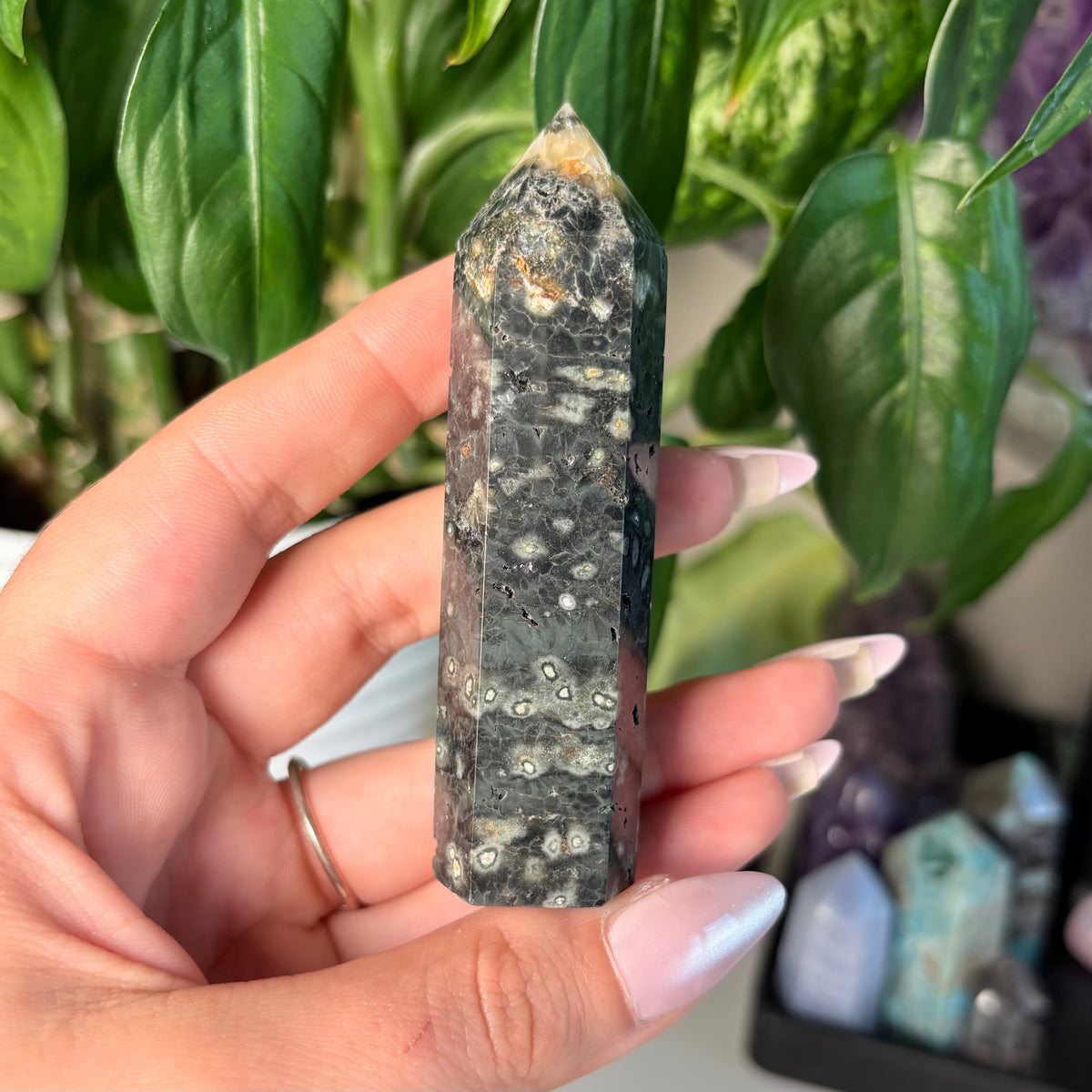SEA JASPER TOWERS