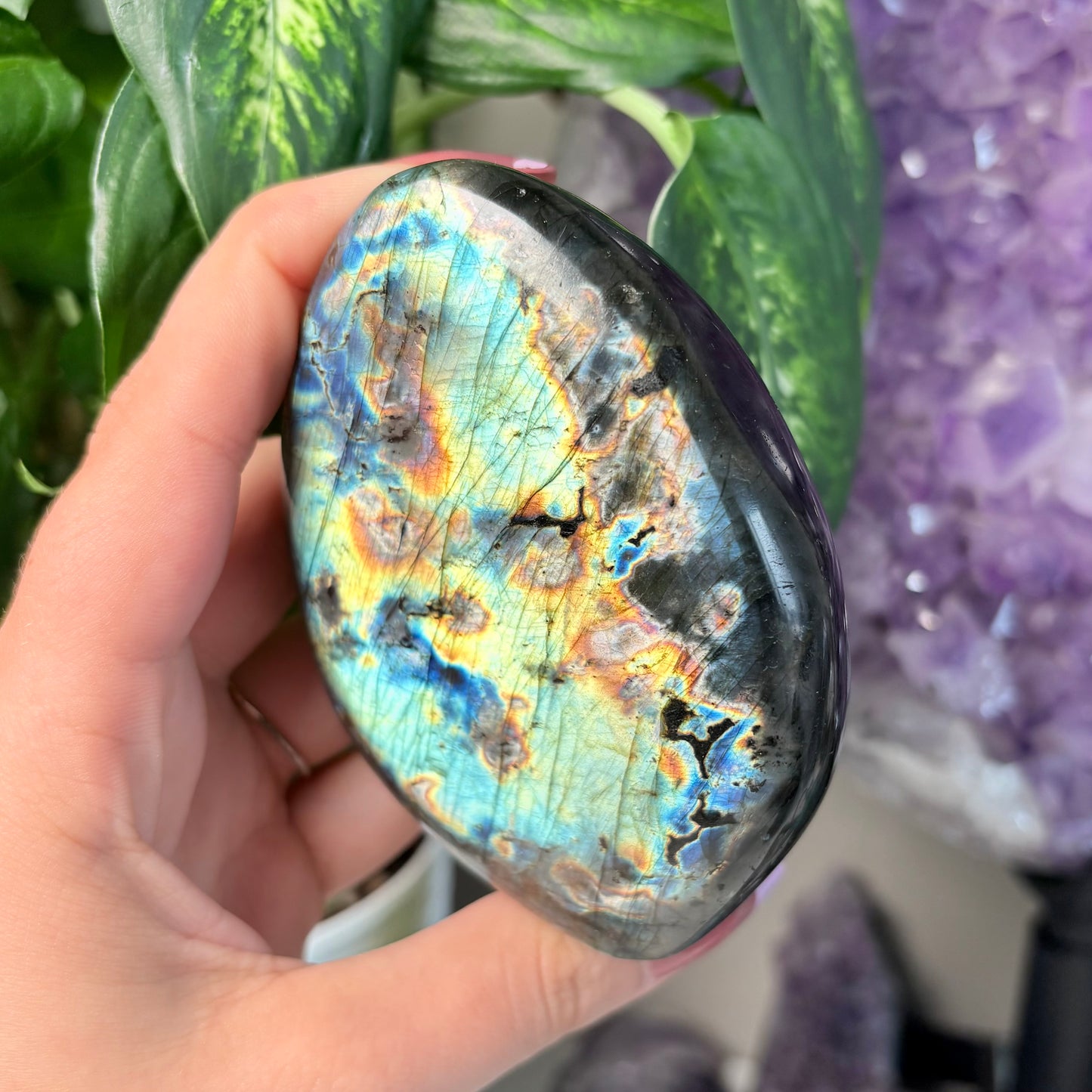 LABRADORITE FREEFORMS
