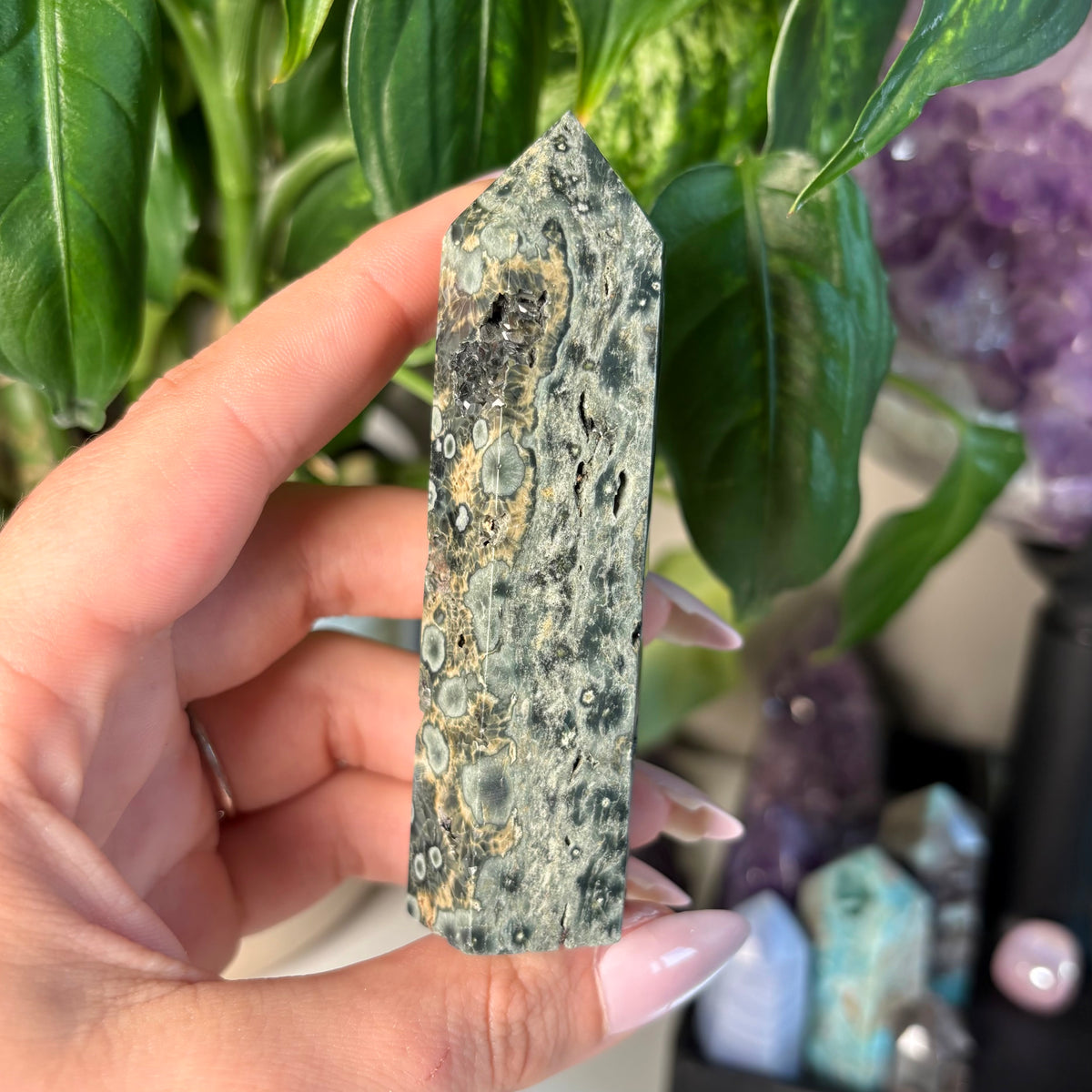 SEA JASPER TOWERS