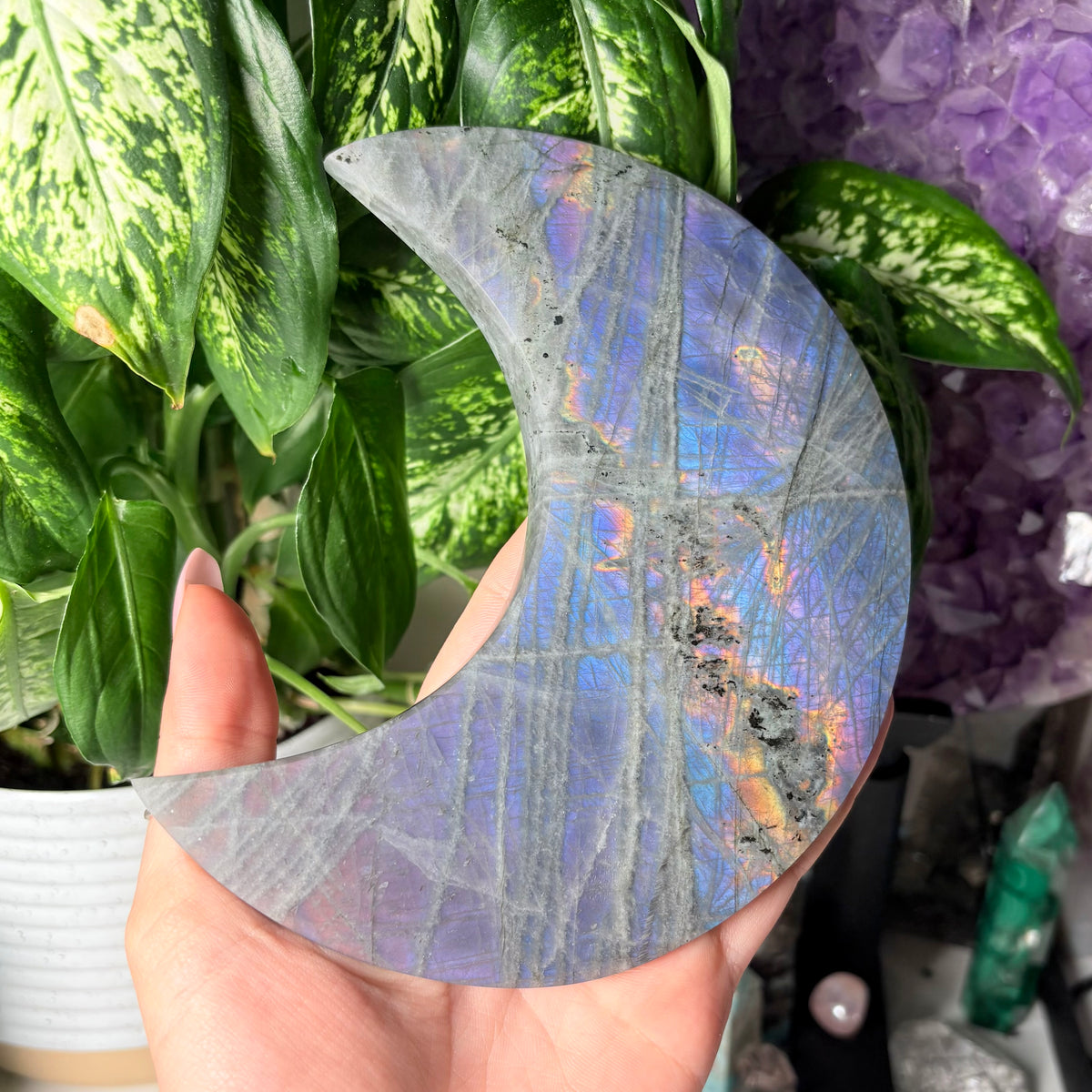 LABRADORITE MOONS