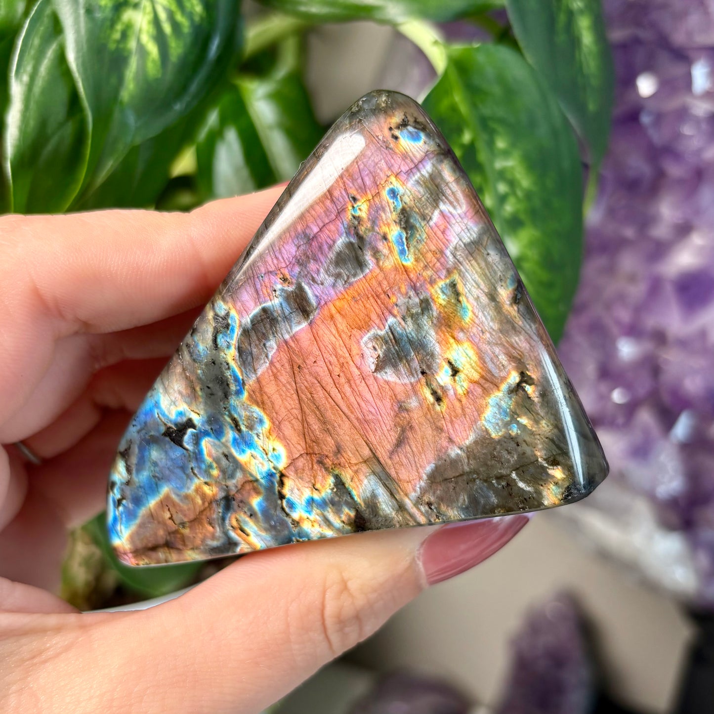LABRADORITE FREEFORMS