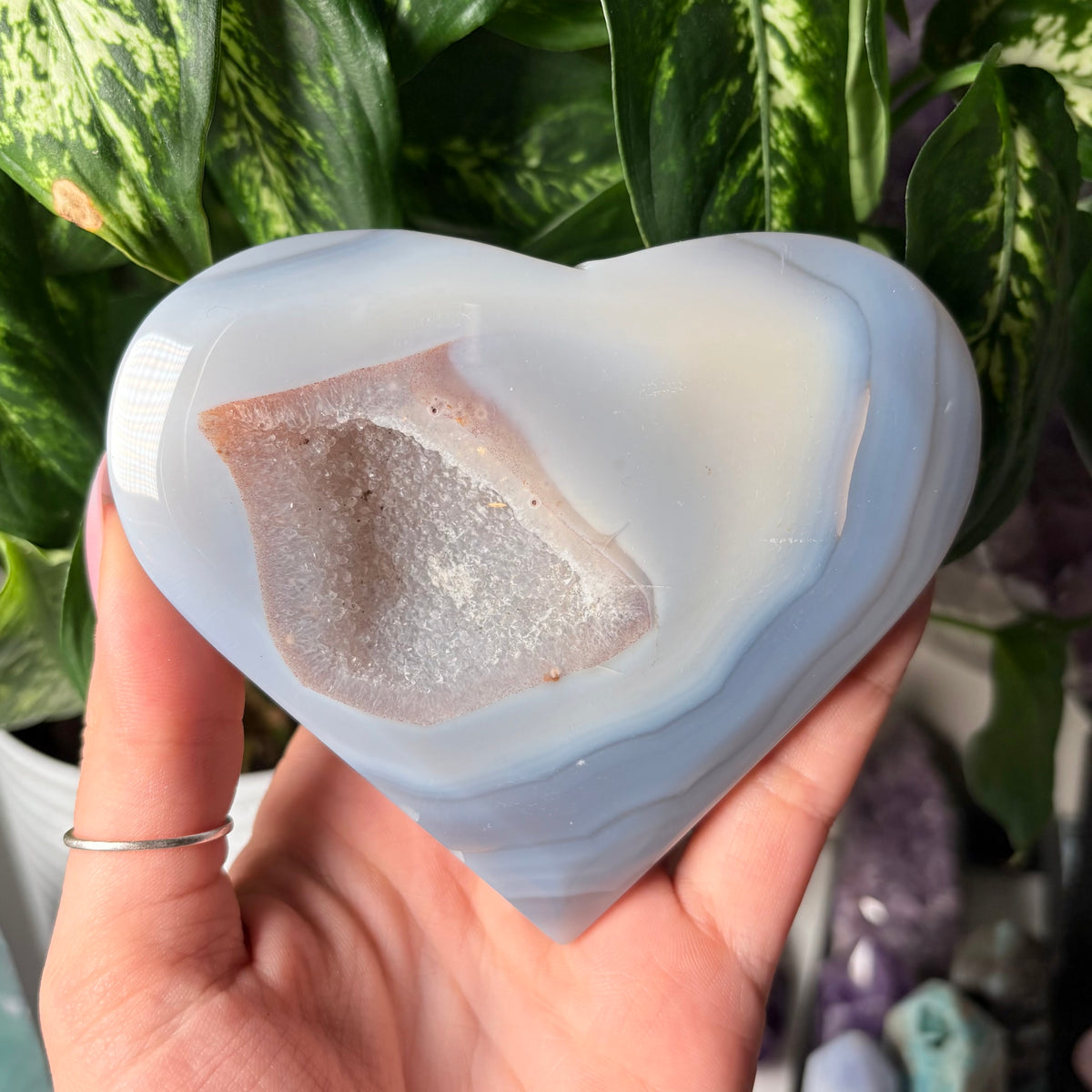 AGATE DRUZY HEARTS