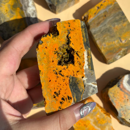BUMBLEBEE JASPER SLABS