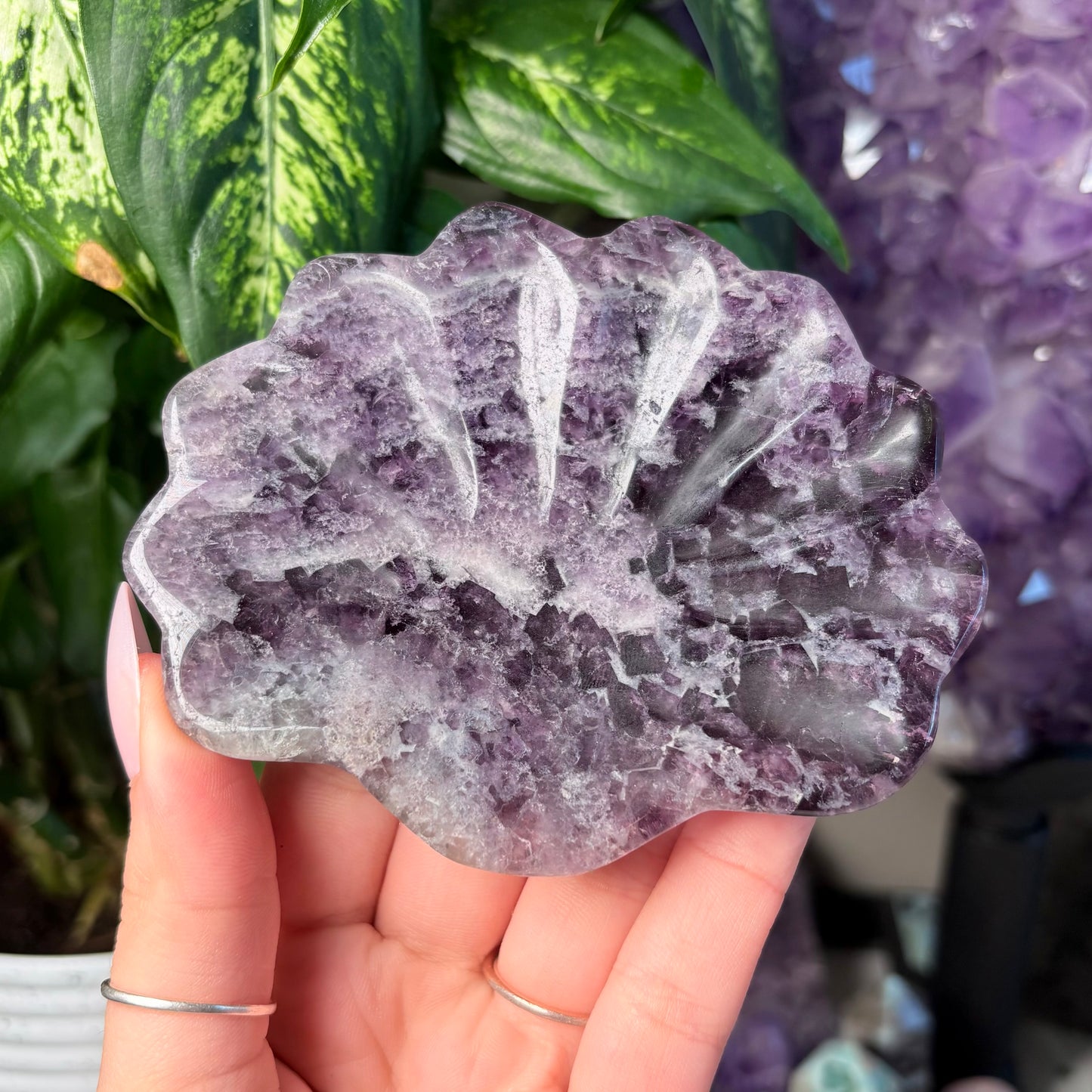 FLUORITE SEASHELL BOWLS