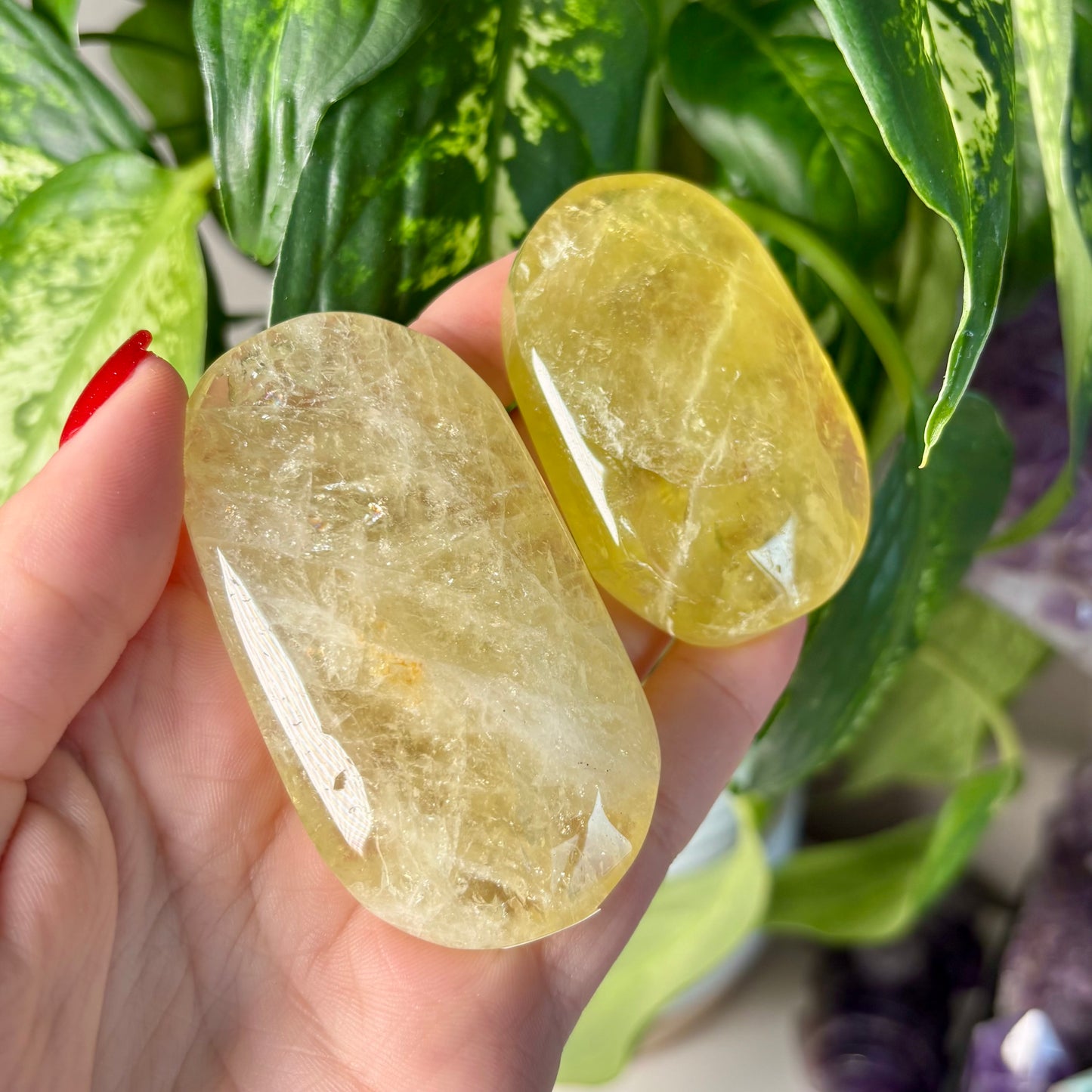 CITRINE PALMSTONES
