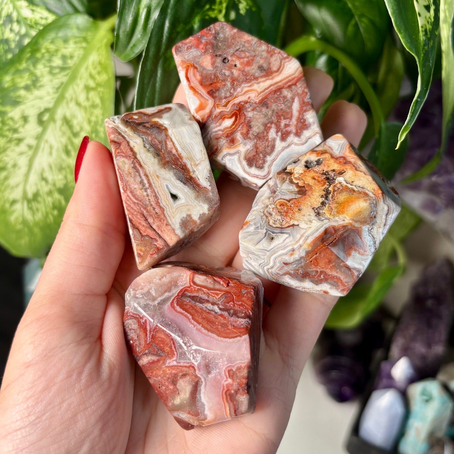 MOROCCAN AGATE FREEFORMS