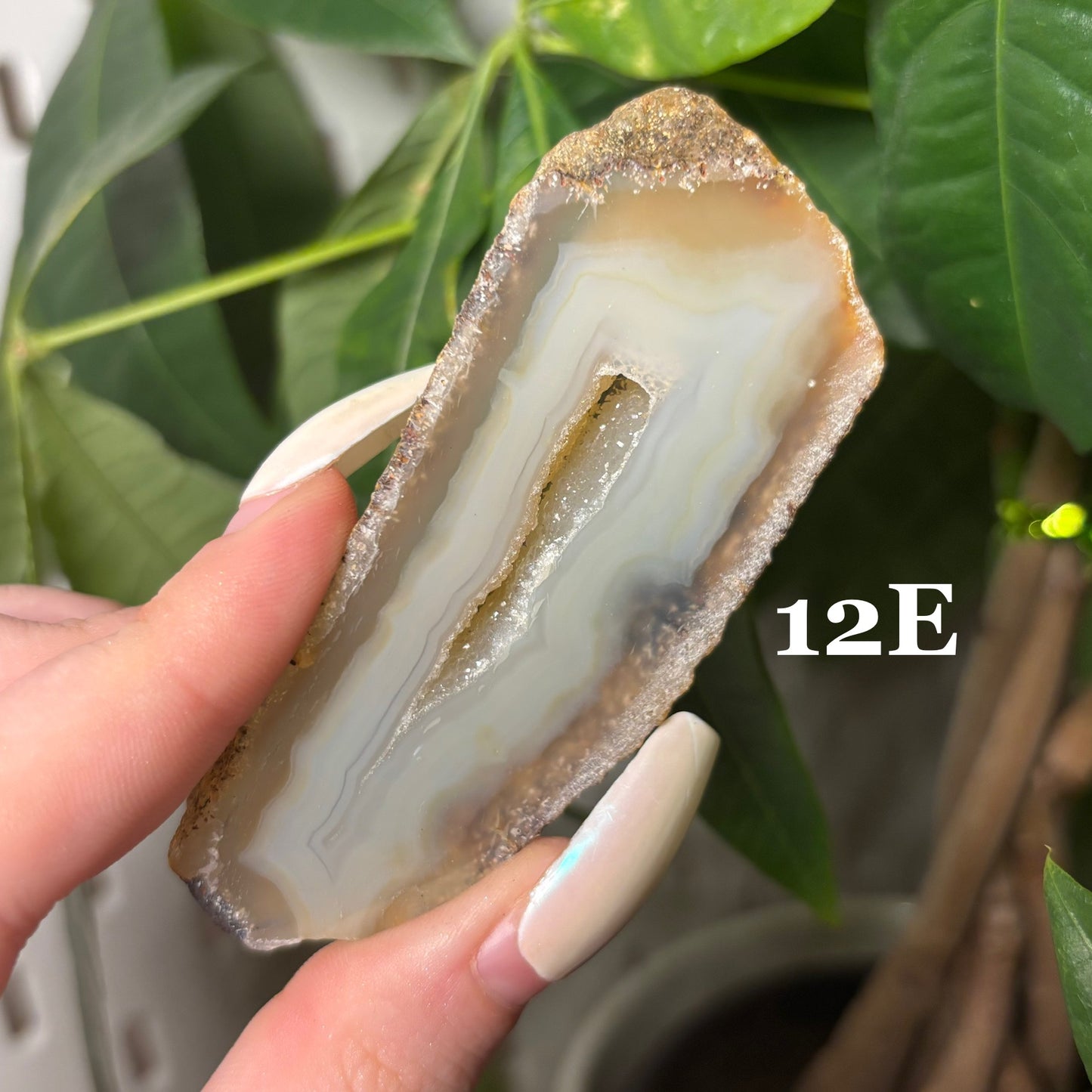 DRUZY AGATE SLABS