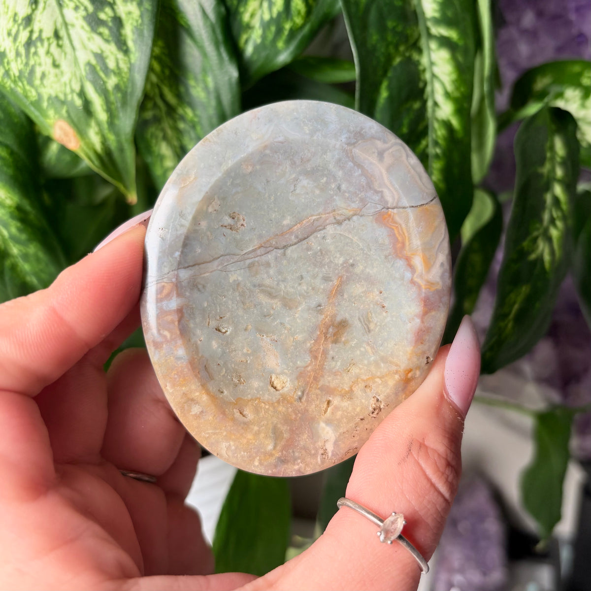 OCEAN JASPER BOWLS