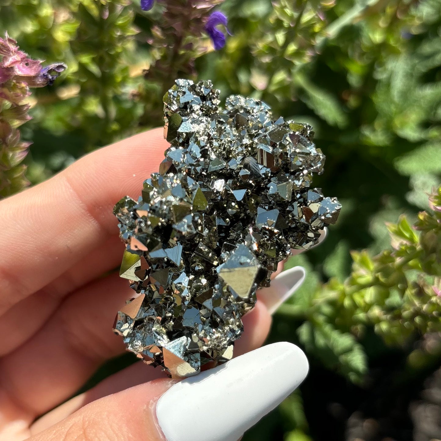 PYRITE CLUSTERS