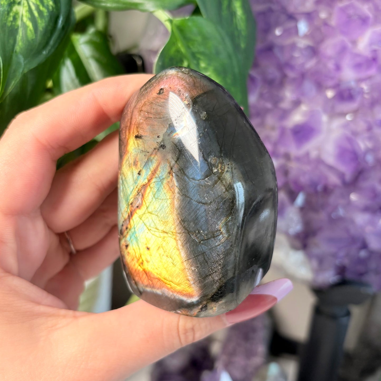 LABRADORITE FREEFORMS