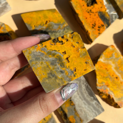 BUMBLEBEE JASPER SLABS