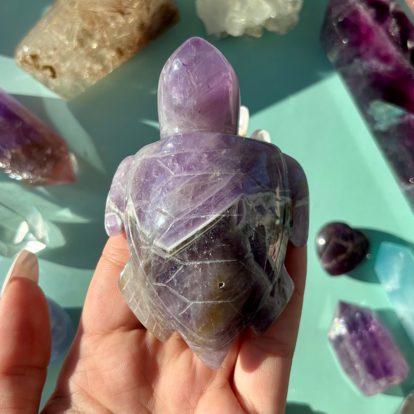 AMETHYST TURTLES
