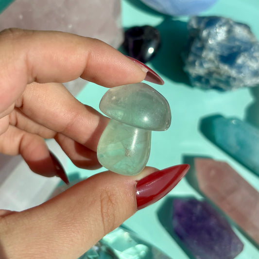 FLUORITE MUSHROOM - SMALL