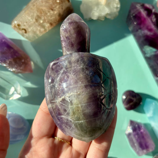 AMETHYST TURTLES