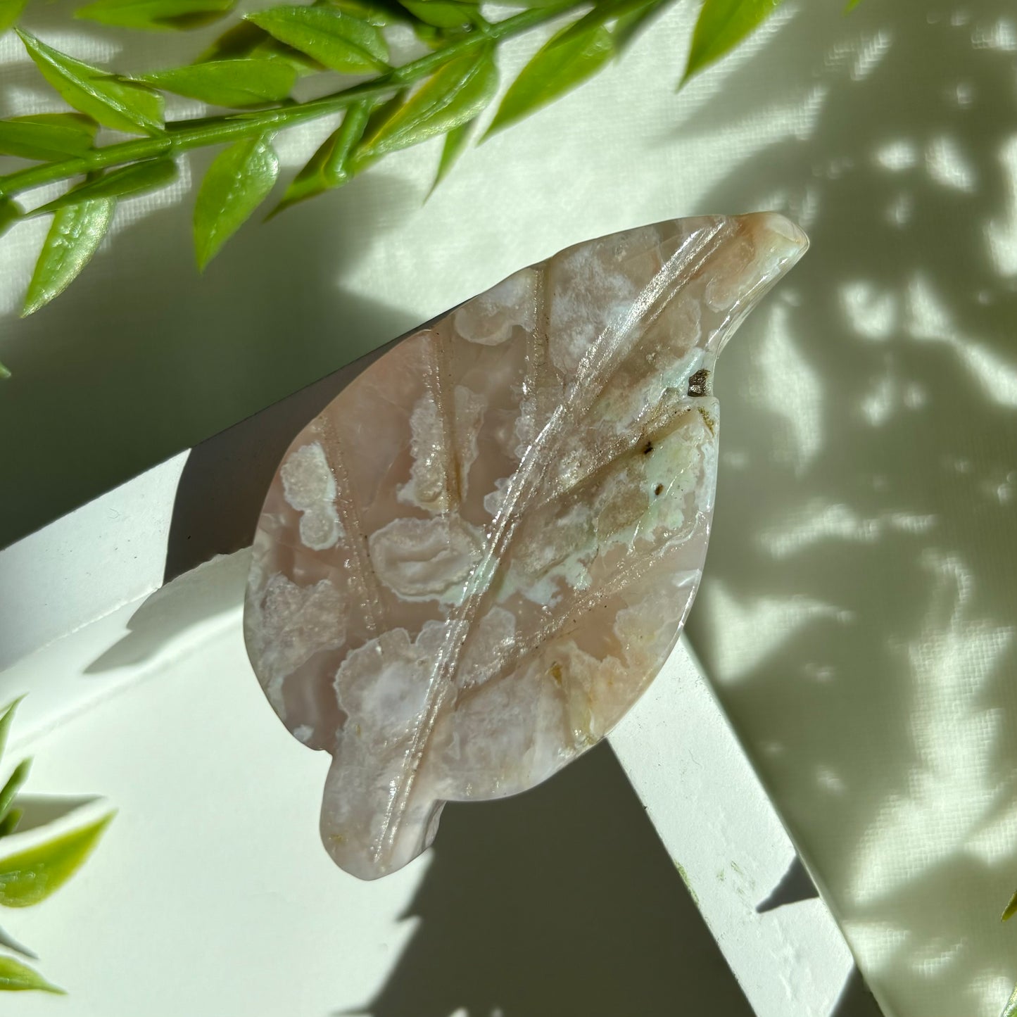 FLOWER AGATE LEAVES