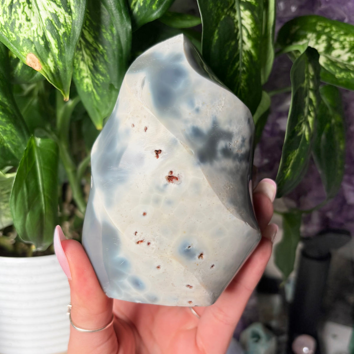 ORCA AGATE FLAMES