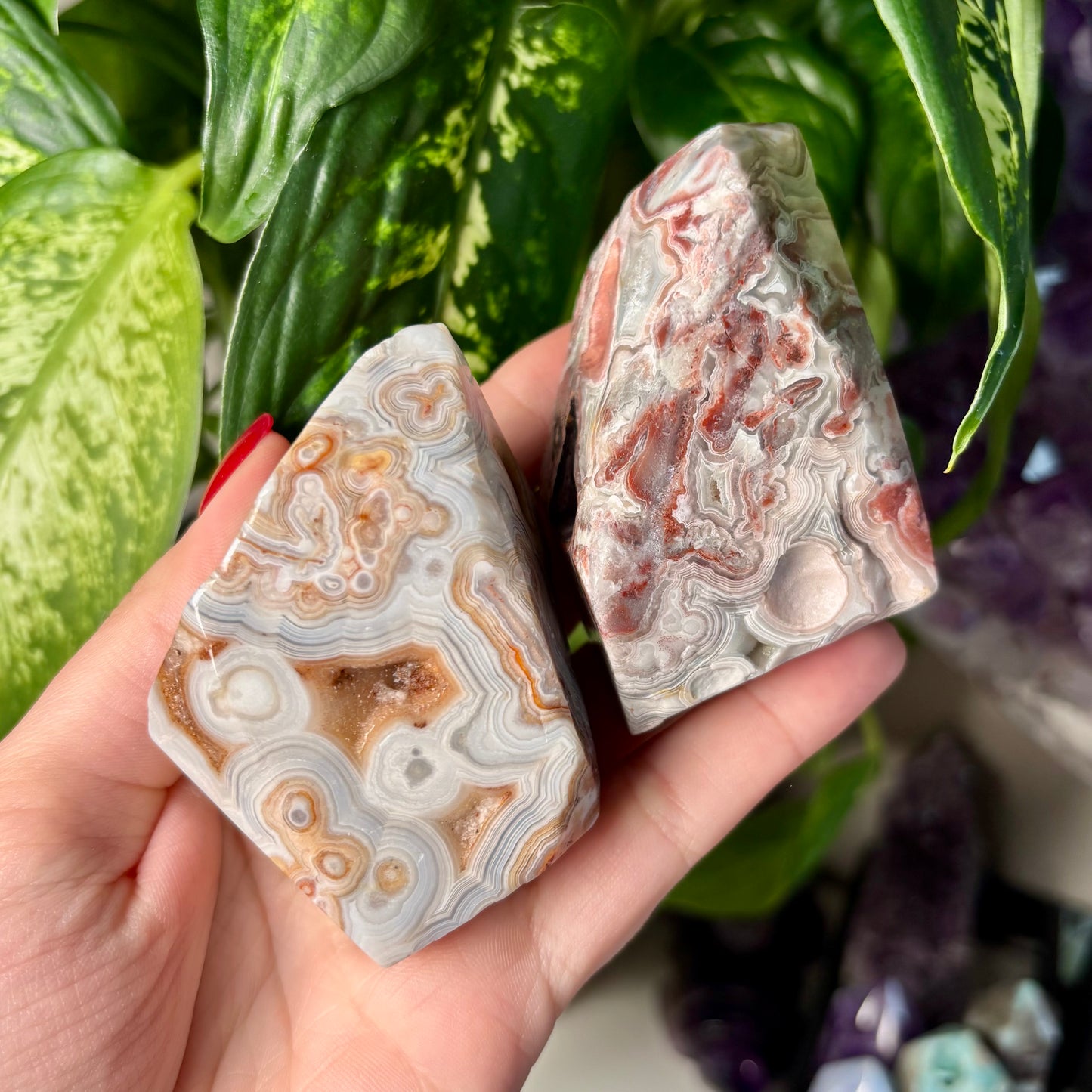 MOROCCAN AGATE FREEFORMS