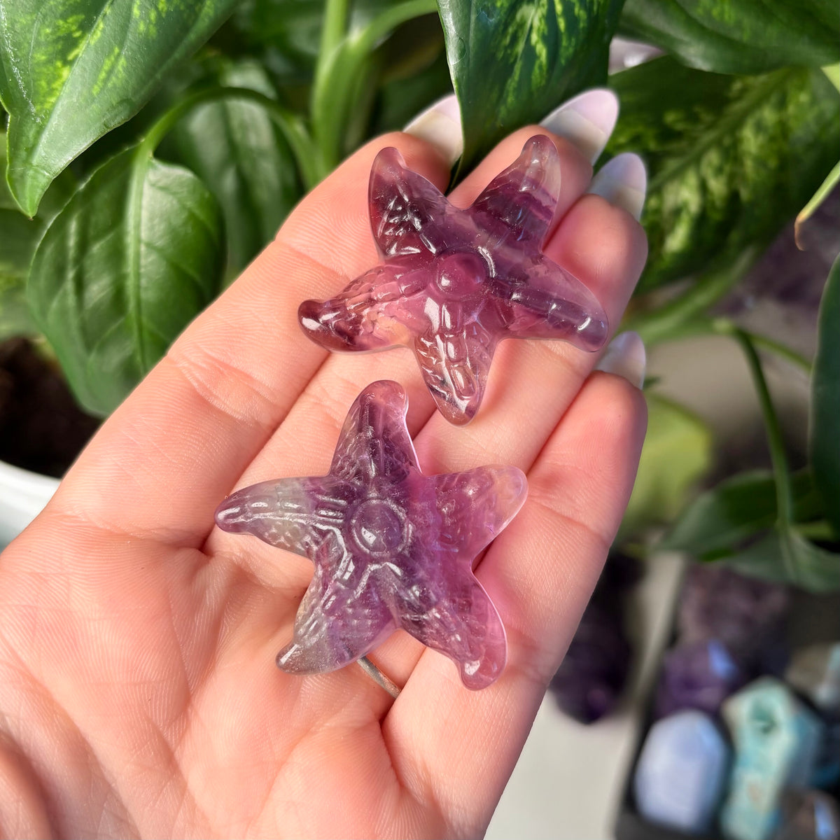 FLUORITE STARFISH