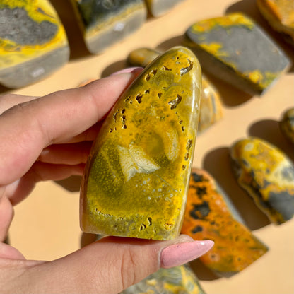 BUMBLEBEE JASPER FREEFORMS
