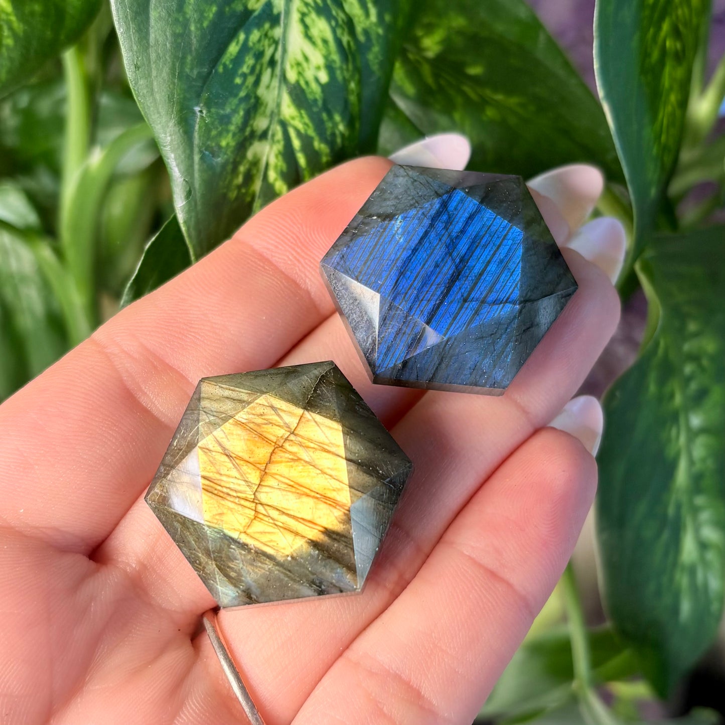 LABRADORITE GUSHER