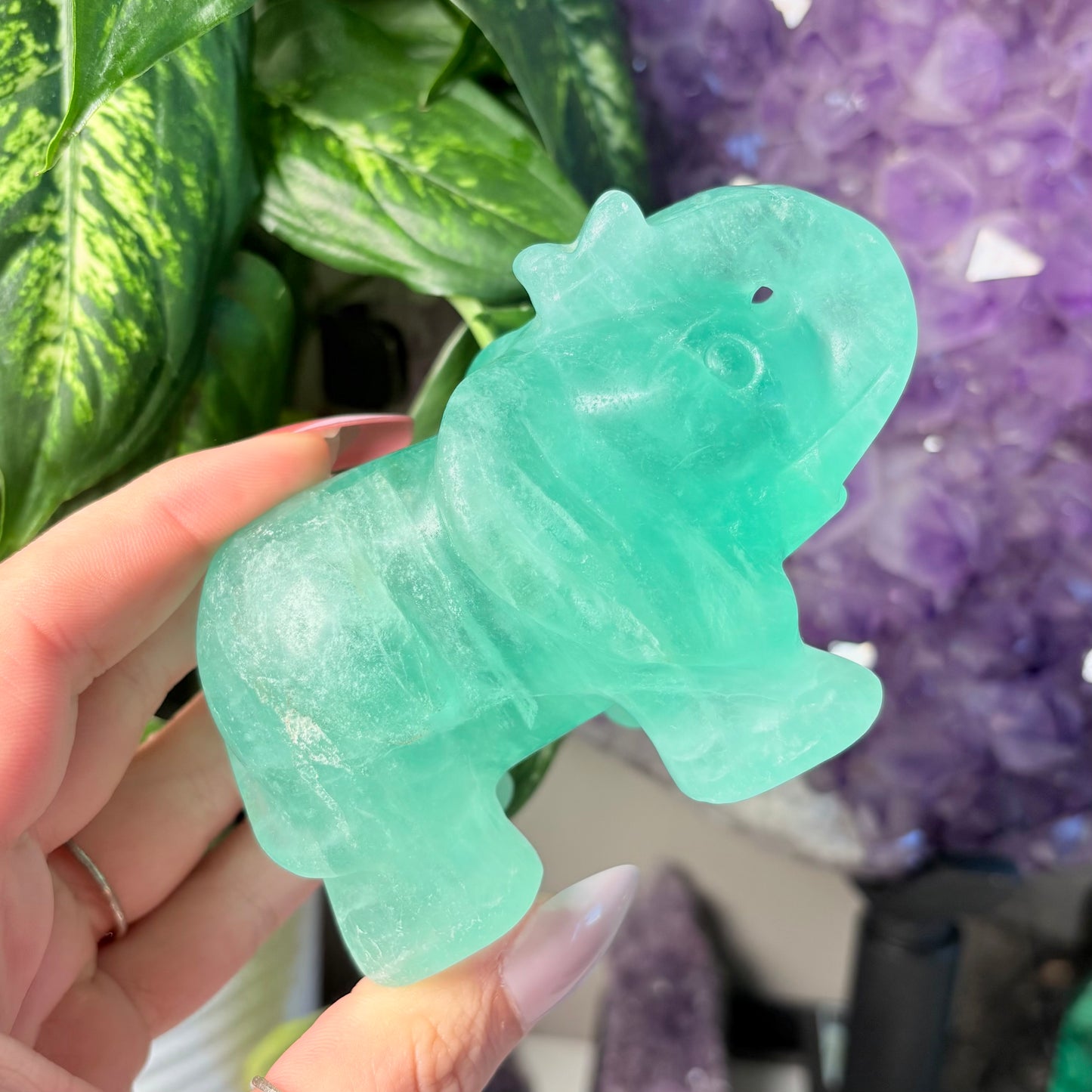 FLUORITE ELEPHANT