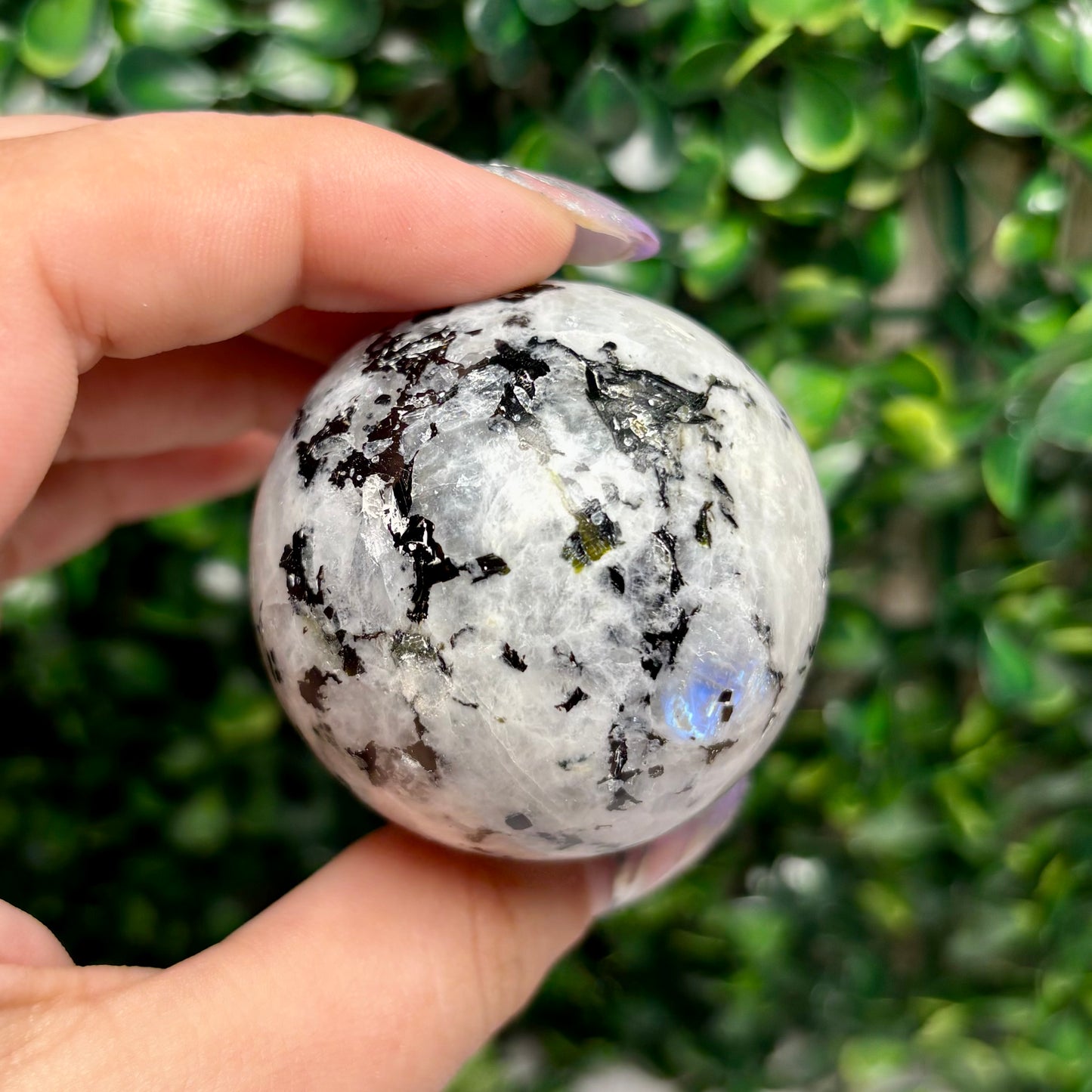 RAINBOW MOONSTONE SPHERES