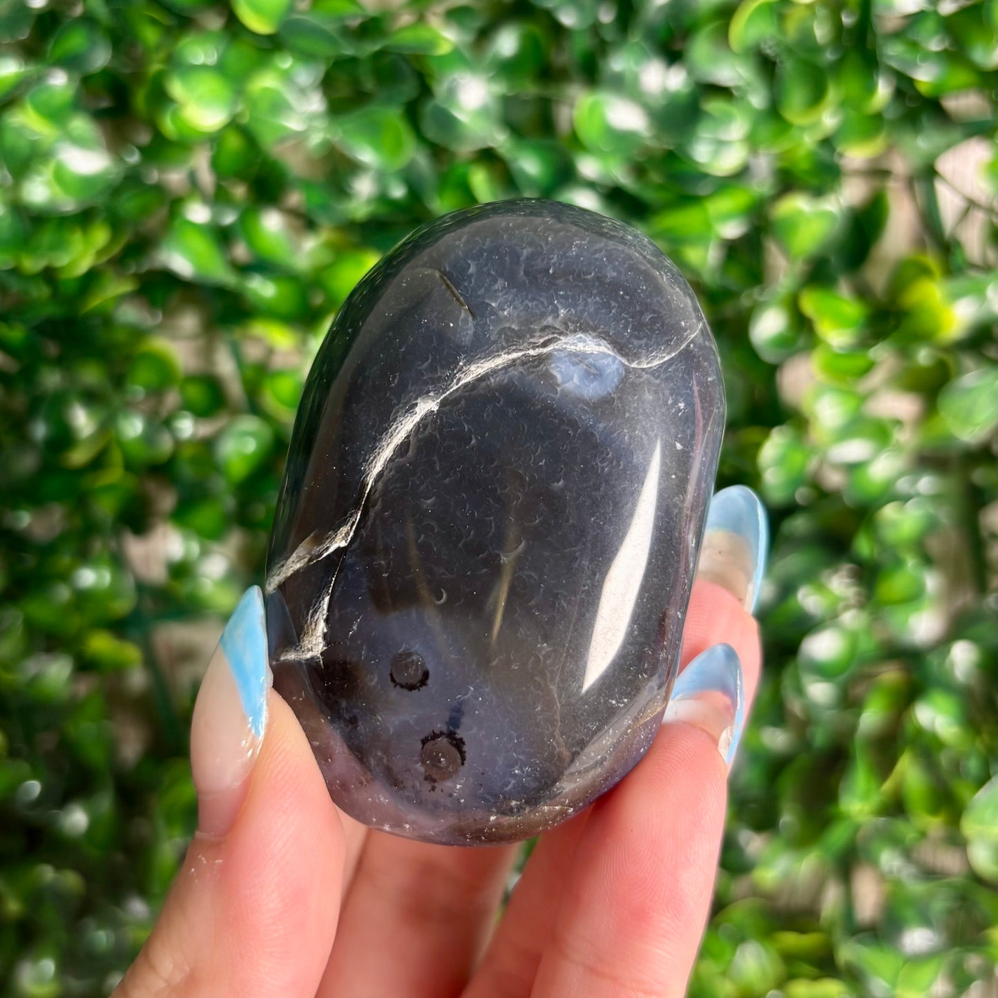 DENDRITIC AGATE PALMSTONES