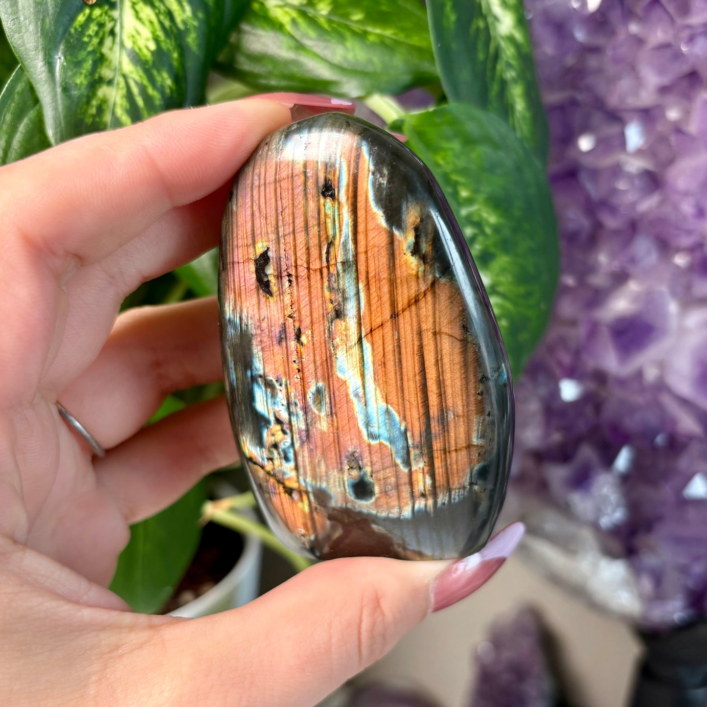 LABRADORITE FREEFORMS