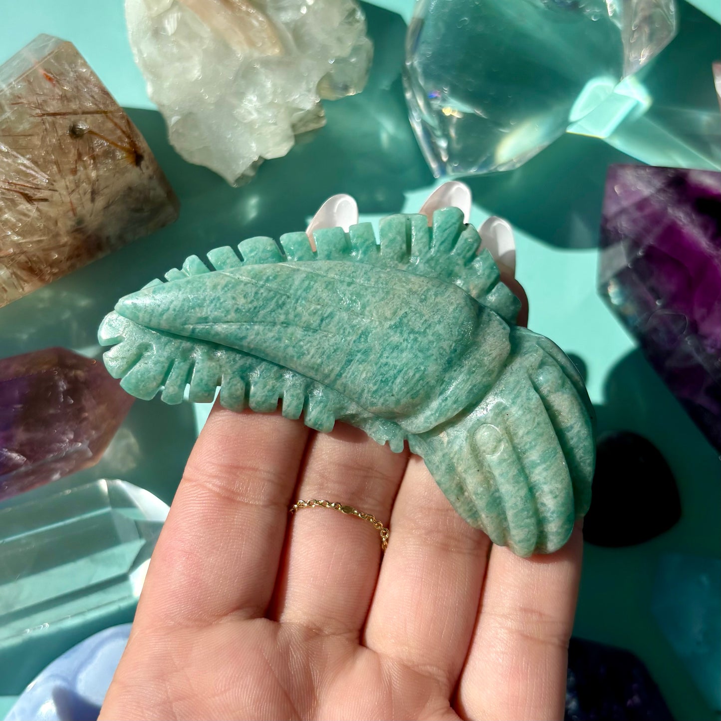 AMAZONITE SEA CREATURES