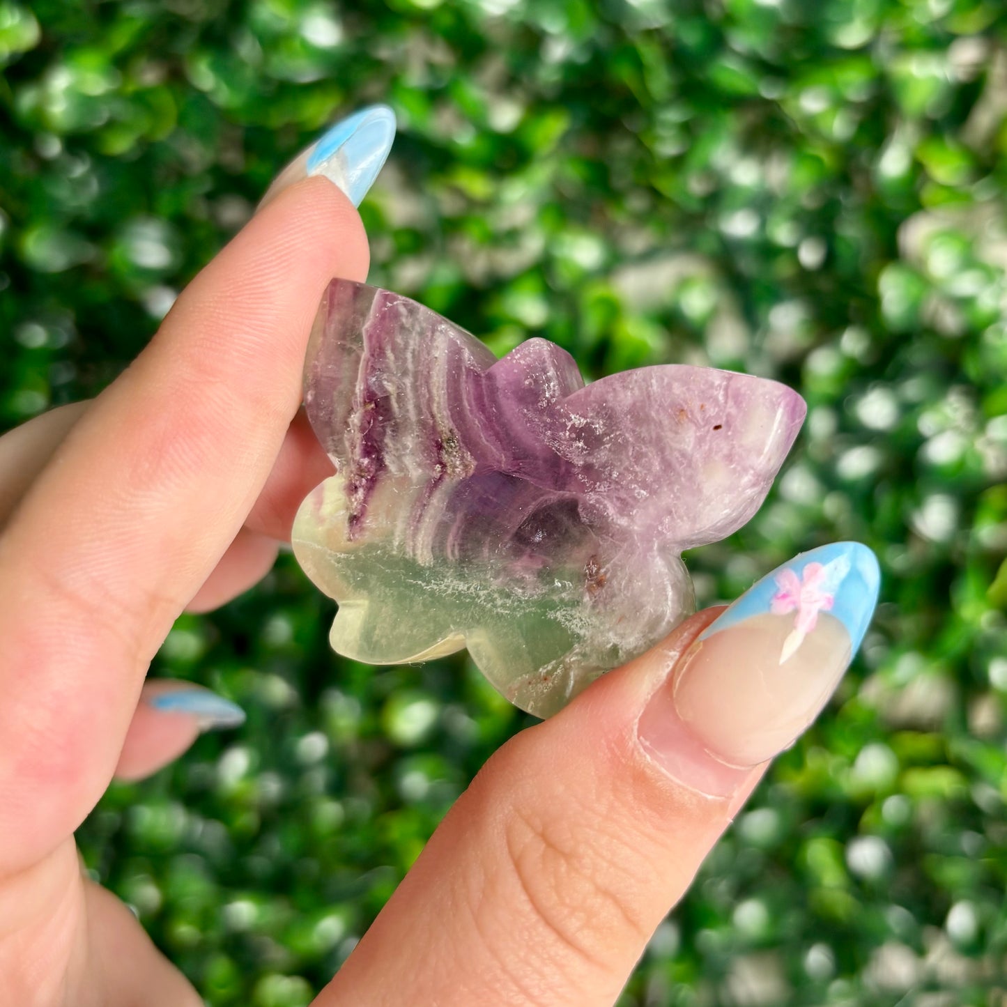 FLUORITE BUTTERFLY