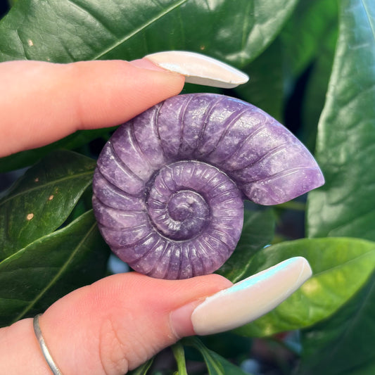 LEPIDOLITE CONCH SHELL