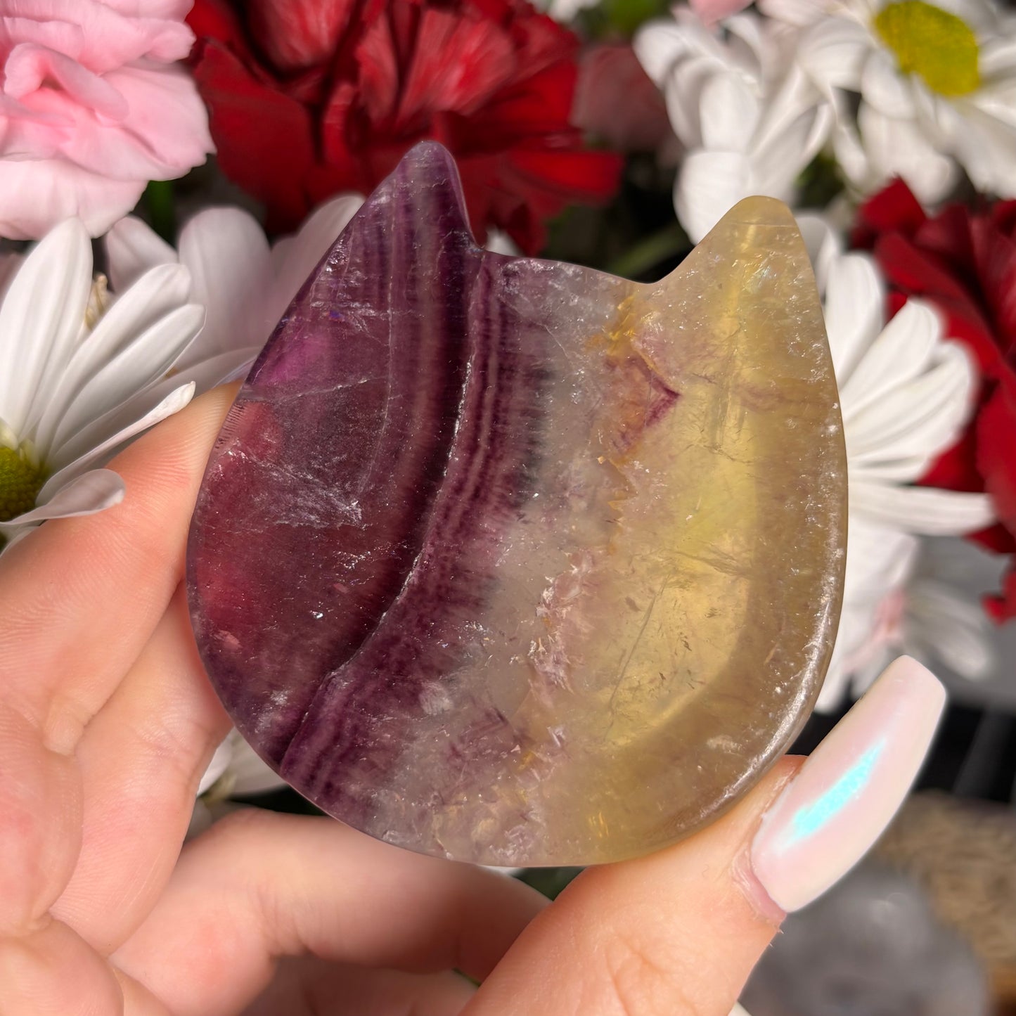 FLUORITE CAT BOWLS