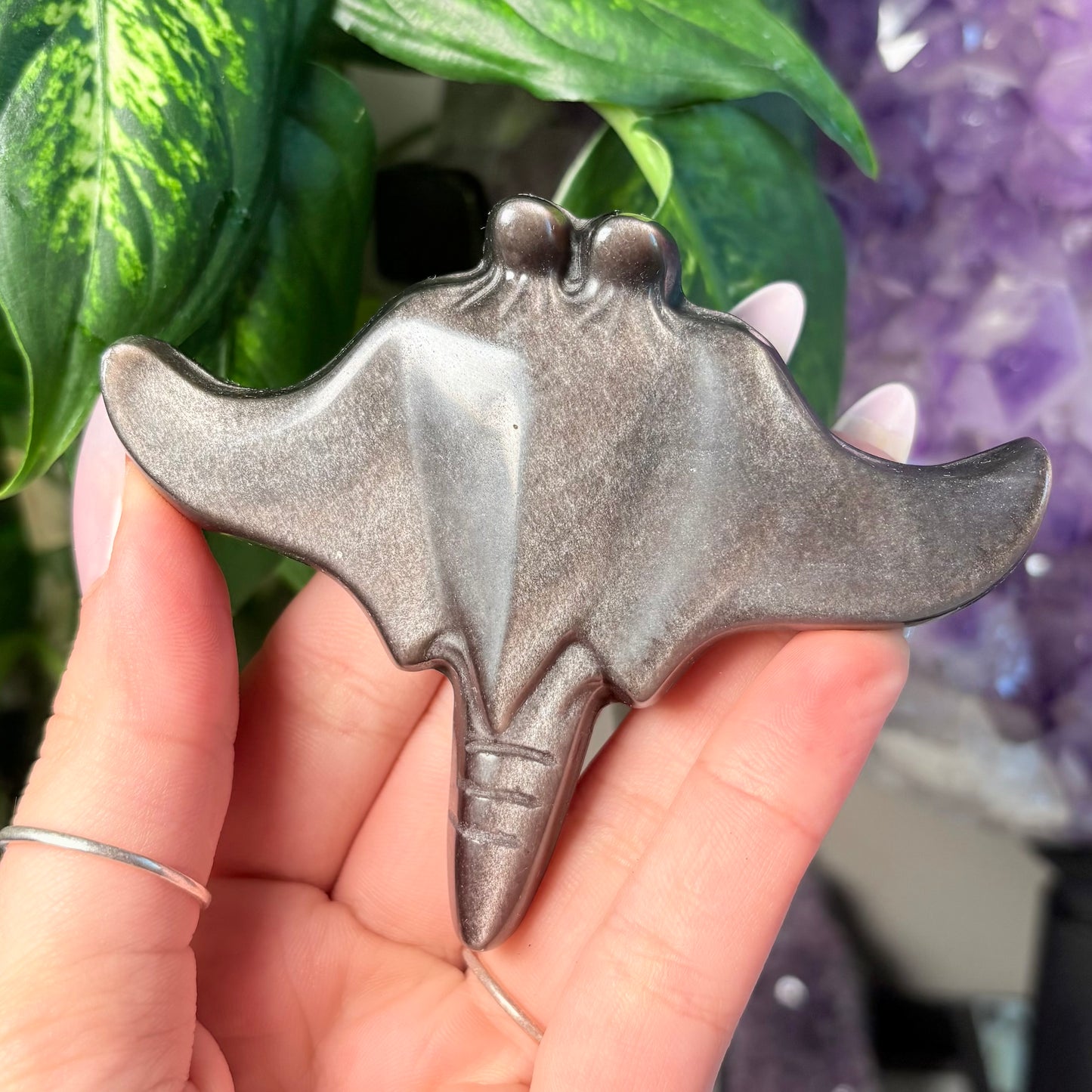 SILVER SHEEN OBSIDIAN MANTARAY