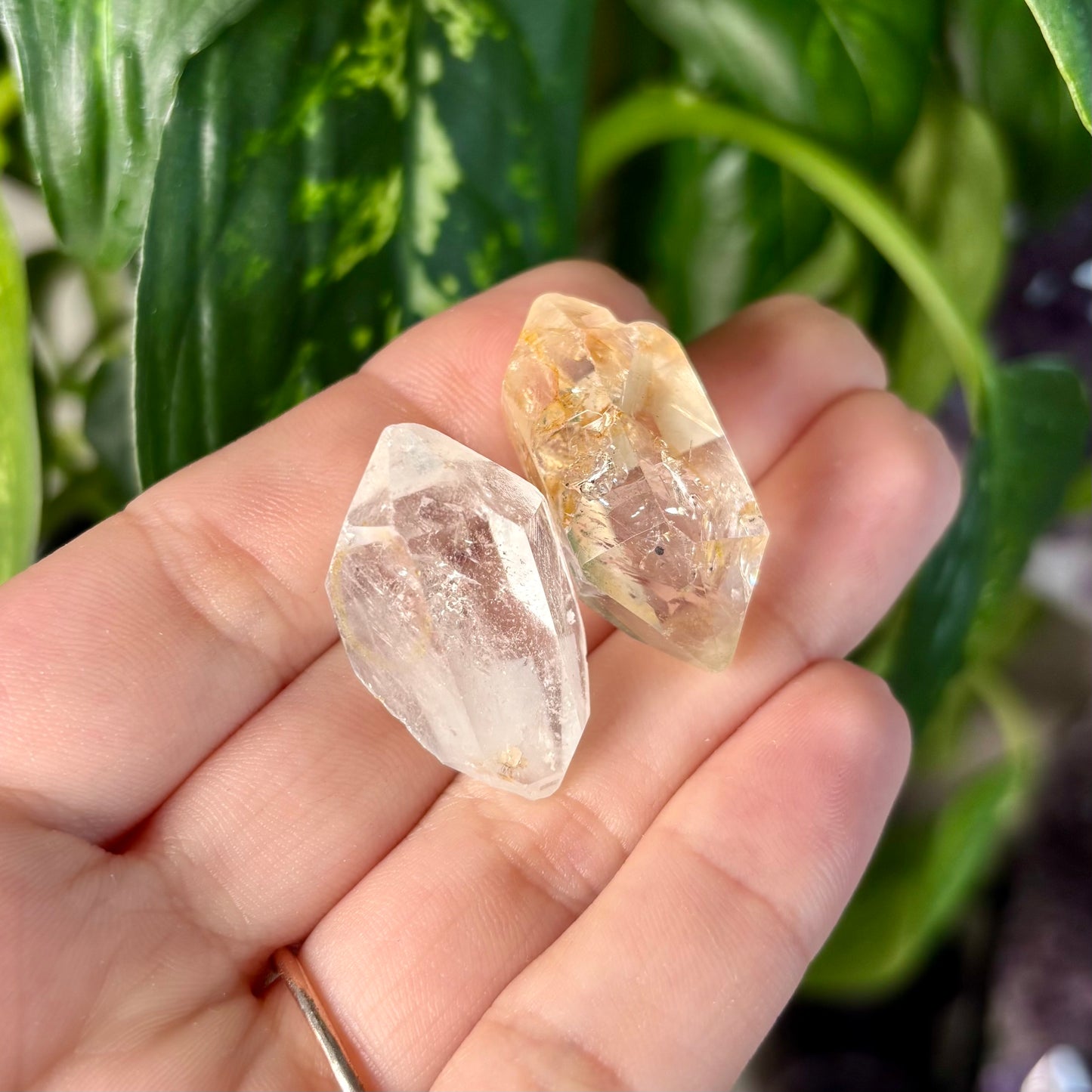 GARDEN QUARTZ ENHYDROS