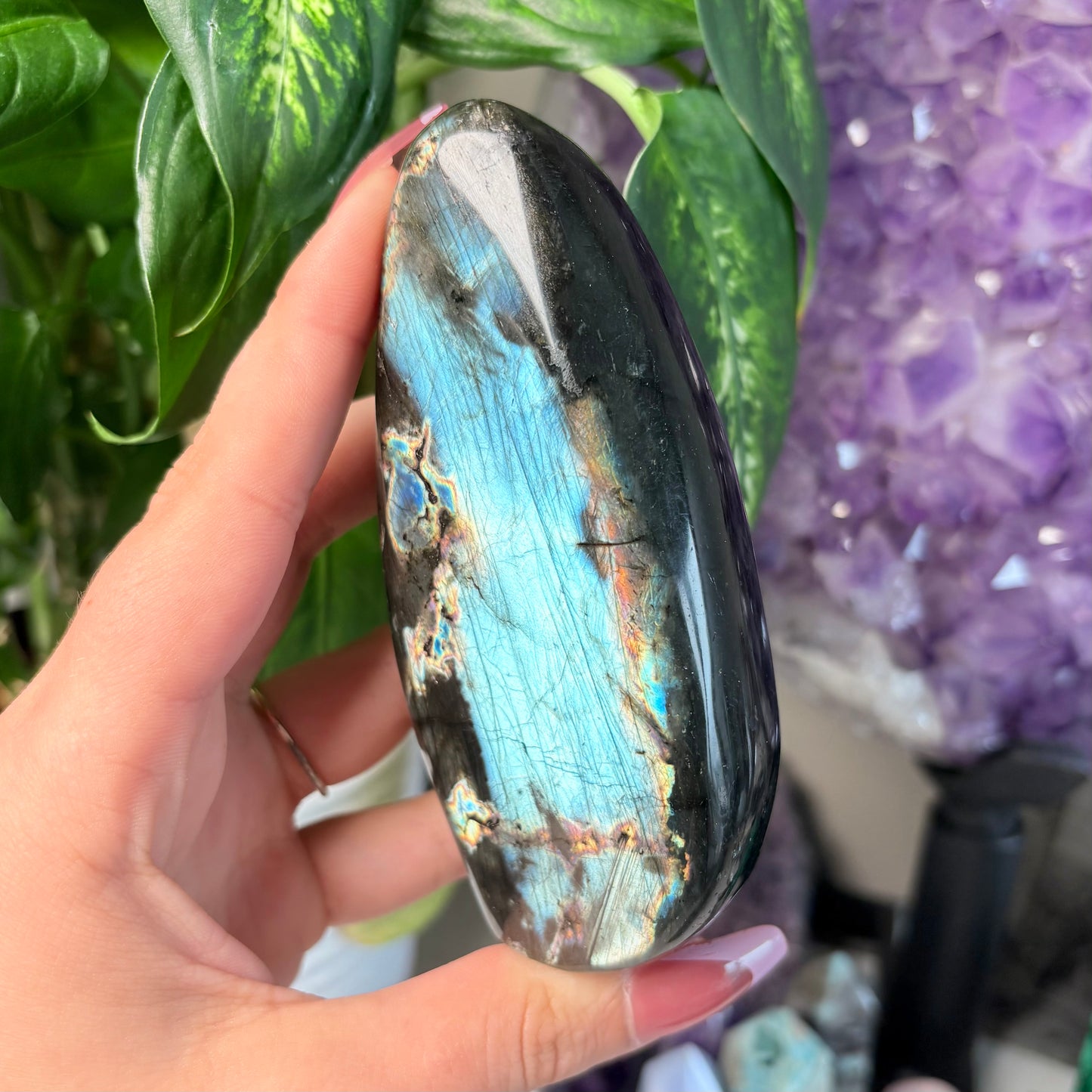 LABRADORITE FREEFORMS