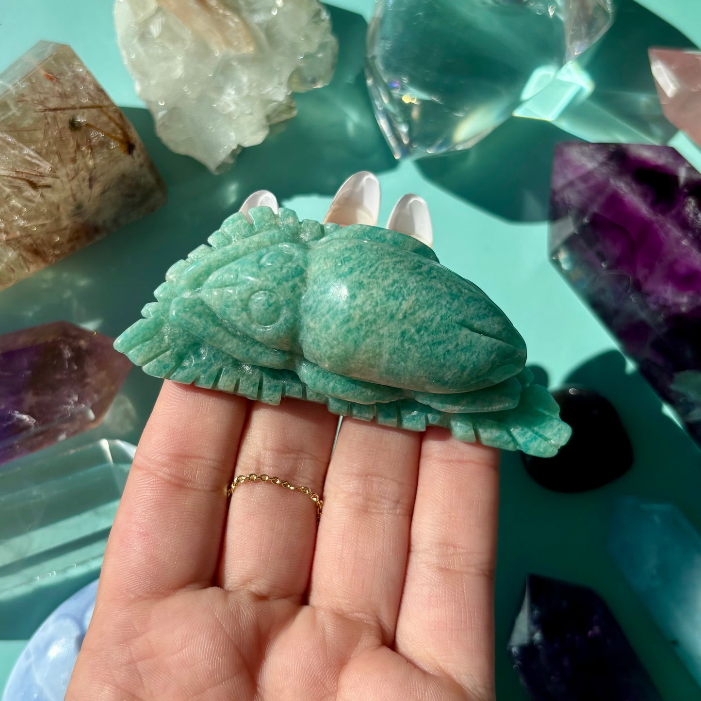 AMAZONITE SEA CREATURES