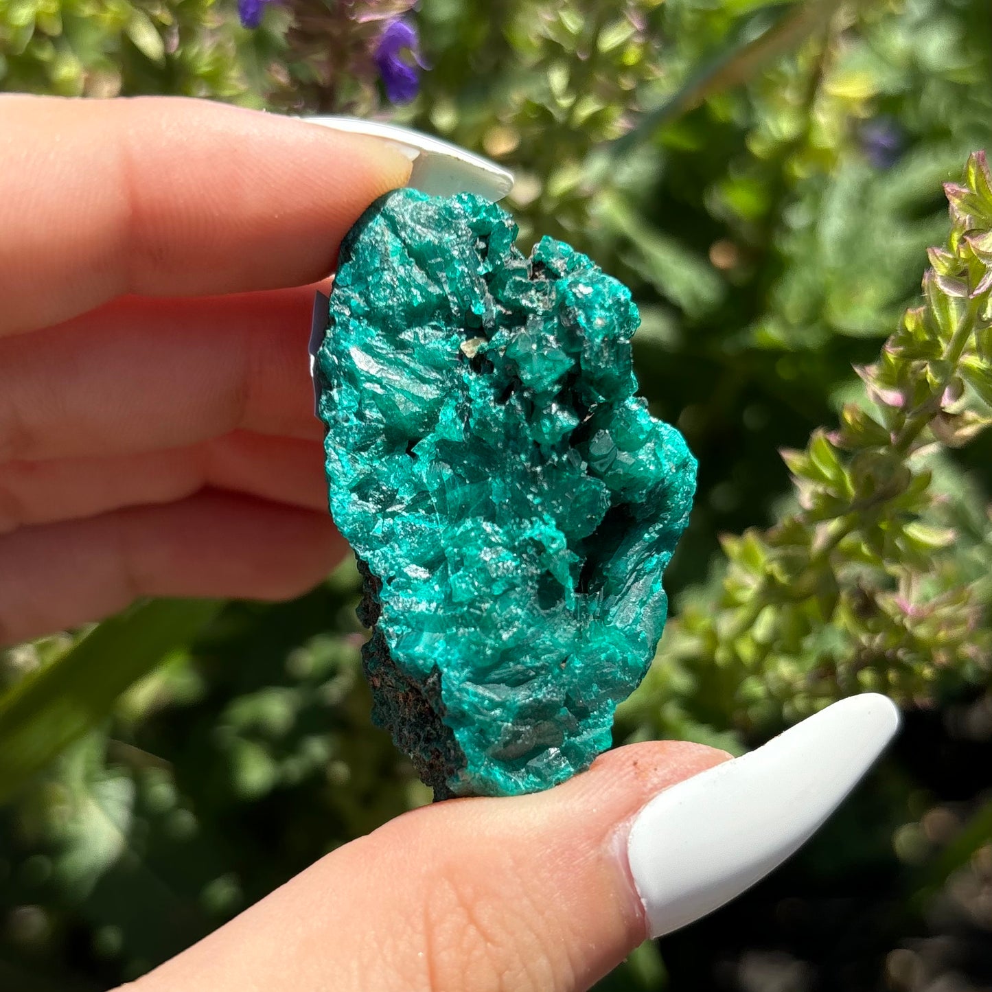 DIOPTASE SPECIMENS