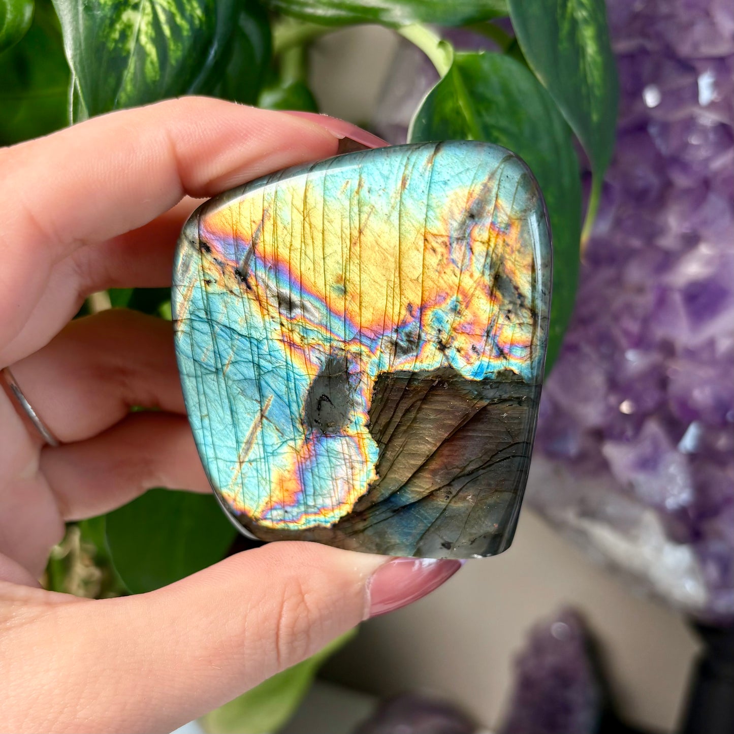 LABRADORITE FREEFORMS