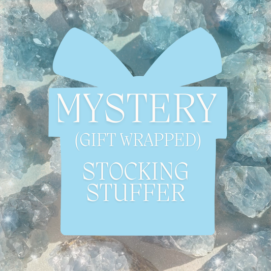 MYSTERY STOCKING STUFFER (COMES GIFT WRAPPED)
