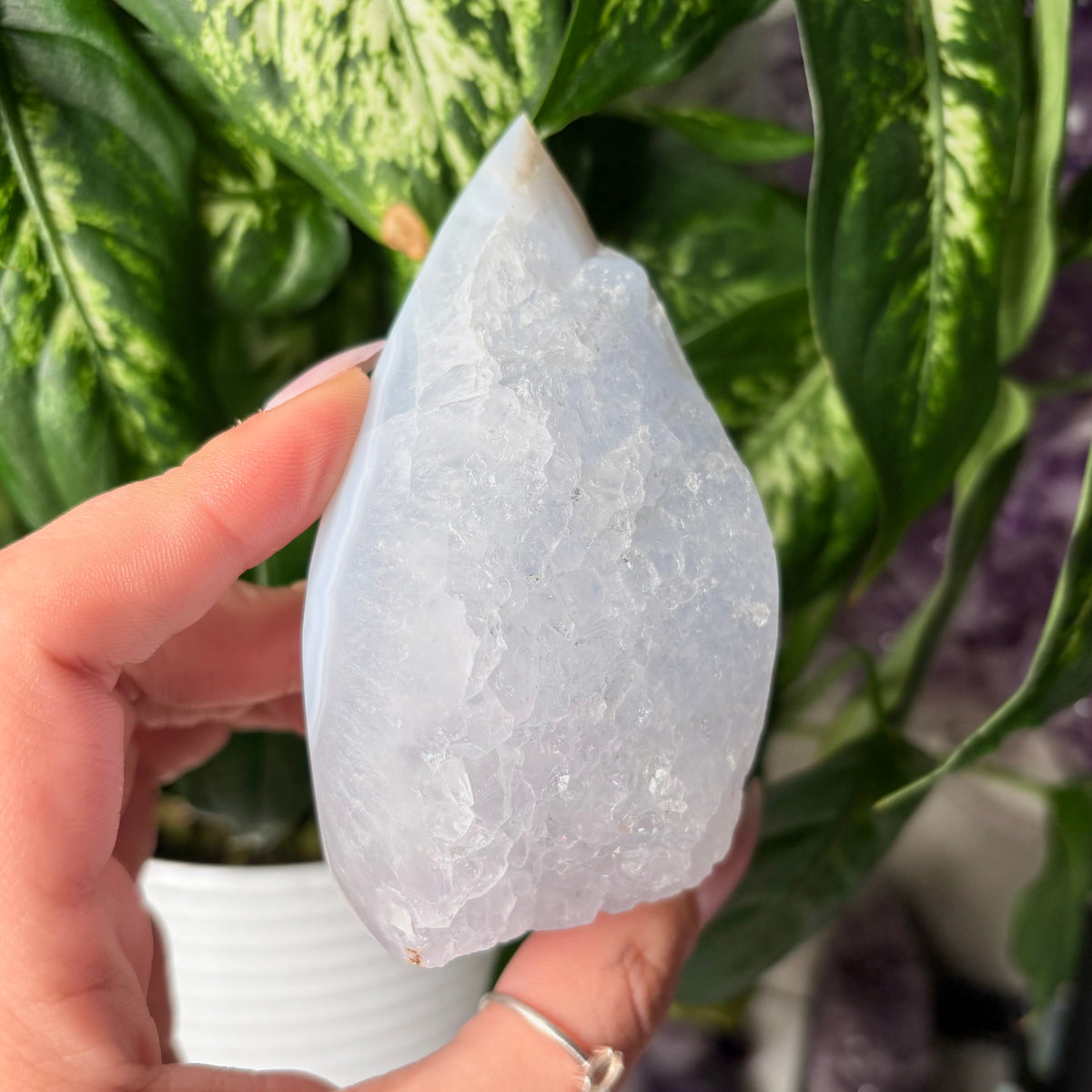 BLUE LACE AGATE FREEFORMS