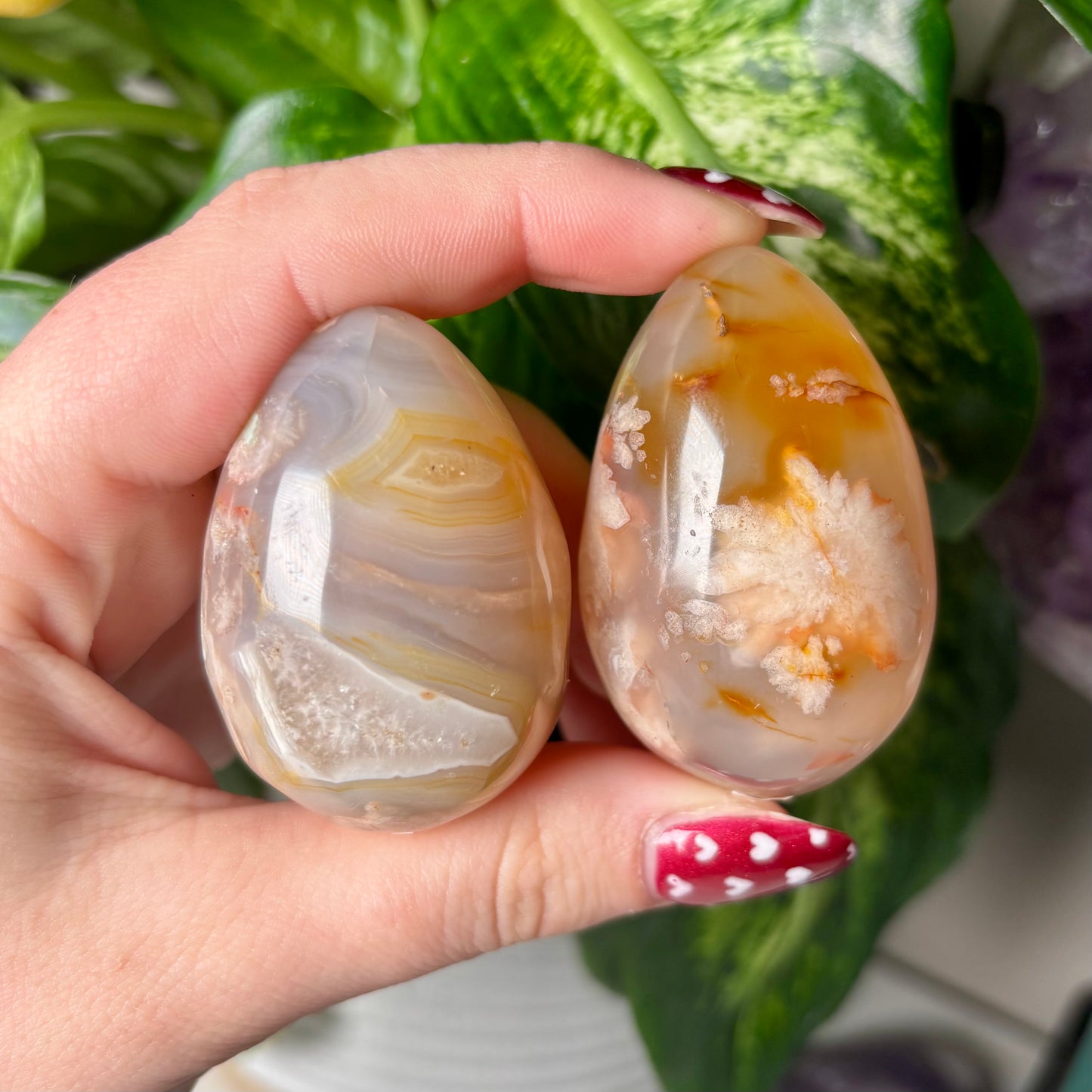 FLOWER AGATE EGGS