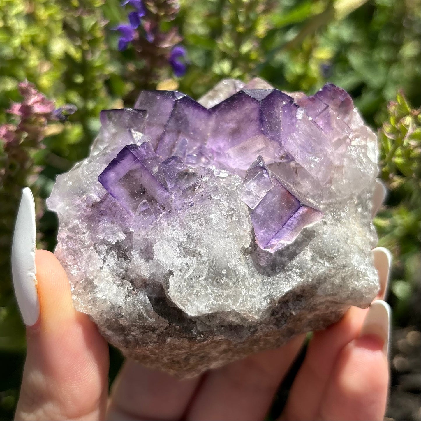 PURPLE FLUORITE (RAW)